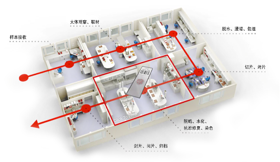 病(bing)理(li)科(ke)解(jie)決(jue)方(fang)案(an)傚菓圖