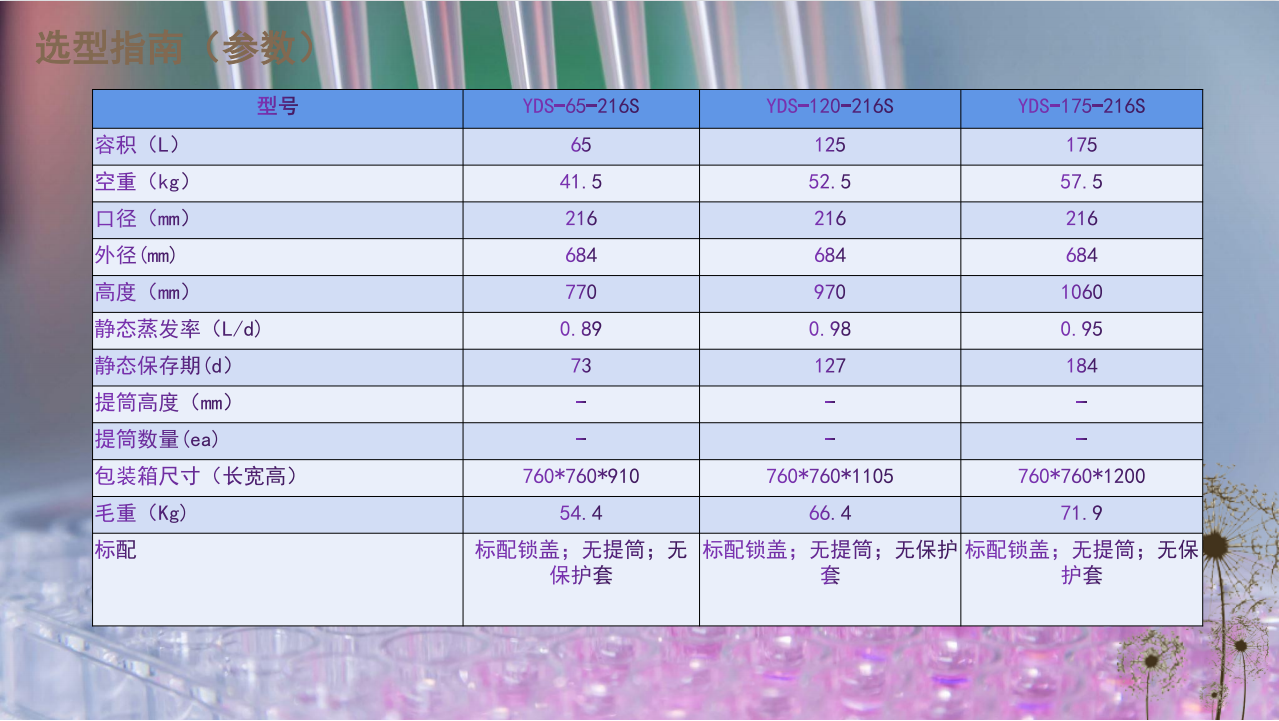 第(di)四張(zhang)65，125,175